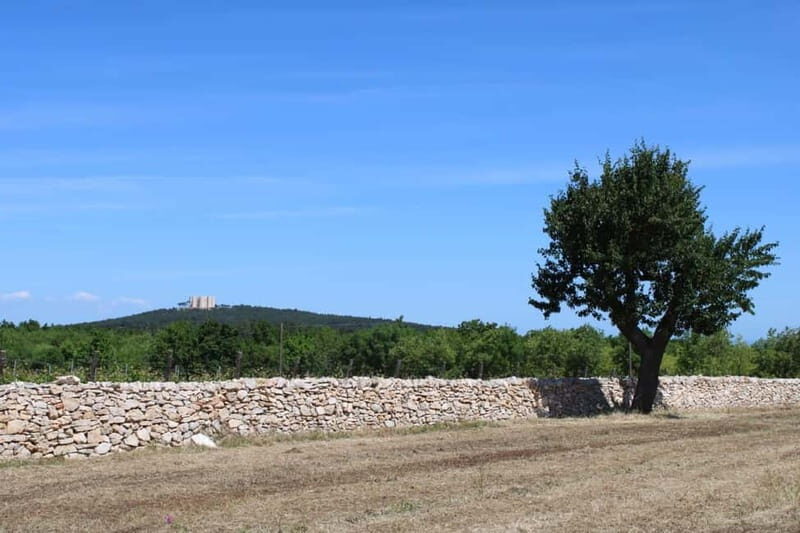 Hiking in the Murgia of Castel del Monte - The Inside Scoop from Other Travelers