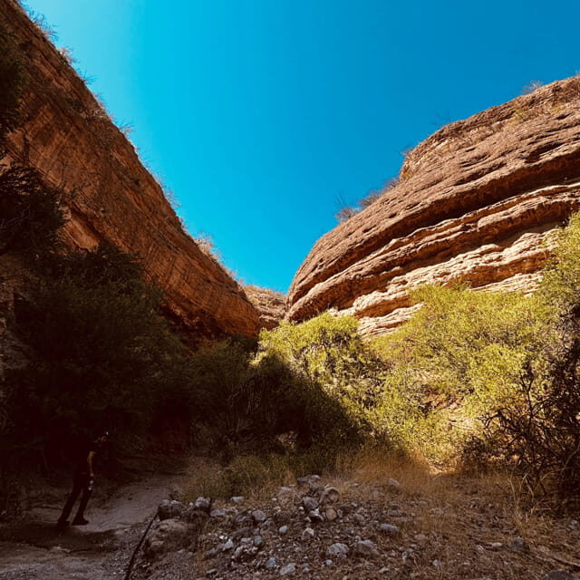 Hiking Ruta del Novillo: explore Sonora's natural surroundings. - The Sum Up: Is the Ruta del Novillo Tour Worth It?