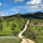 Hiking tour with a dream view of the former monastery of Sant Salvador, 3-4 hours. - The Value of This Tour