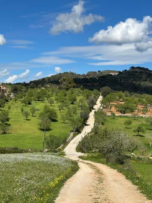 Hiking tour with a dream view of the former monastery of Sant Salvador, 3-4 hours. - The Value of This Tour