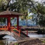 Hilo: Akaka Falls, Volcanoes, and Onomea Bay Guided Tour - Exploring Akaka Falls and Rainforest