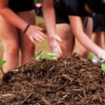 Hilo: Big Island Family Farm & Culture UTV Experience - What We’d Like to Know More About