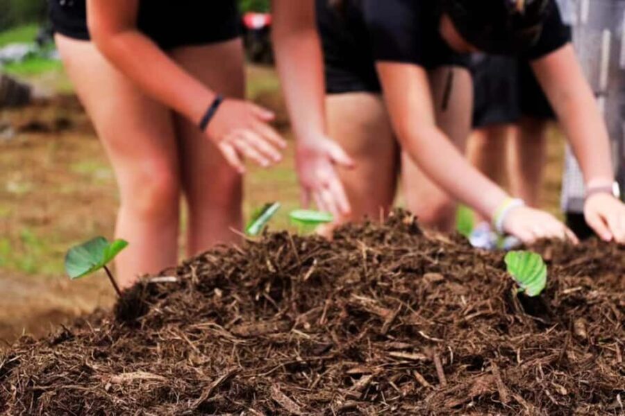 Hilo: Big Island Family Farm & Culture UTV Experience - What We’d Like to Know More About