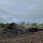 Hilo: Kilauea Fissure 8 Hiking, Volcanoes and Waterfalls - An In-Depth Look at the Tour Experience