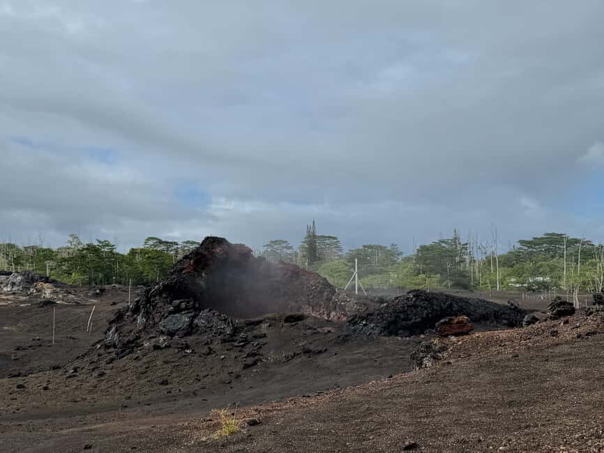 Hilo: Kilauea Fissure 8 Hiking, Volcanoes and Waterfalls - An In-Depth Look at the Tour Experience