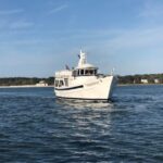 Hilton Head Island: Ocean Dolphin Cruise - Why This Tour Offers Great Value