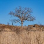 Historic Gettysburg  Self-Guided Walking Tour - Practicalities & Tips for Tour Enjoyment
