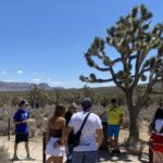 Historic Grand Canyon Western Ranch by Bus with Helicopter Tour - Final Thoughts: Is It Worth It?