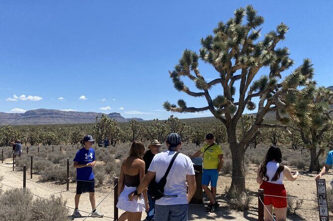 Historic Grand Canyon Western Ranch by Bus with Helicopter Tour - Final Thoughts: Is It Worth It?