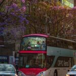 Historic Neighborhoods & Monuments: Hop-On, Hop-Off Mexico City - What’s Included and What’s Not