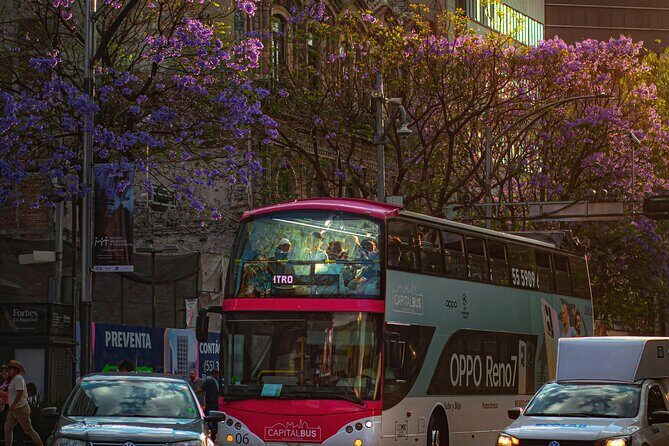 Historic Neighborhoods & Monuments: Hop-On, Hop-Off Mexico City - What’s Included and What’s Not