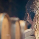 HISTORICAL BODEGA TOUR AND WINE TASTING - Assessing the Value: Is It Worth It?