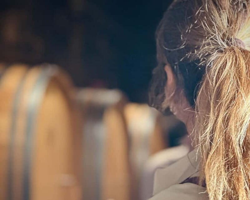 HISTORICAL BODEGA TOUR AND WINE TASTING - Assessing the Value: Is It Worth It?