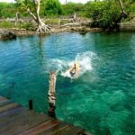 Holbox, Cenote & Isla Pasion from Cancun & Playa del Carmen - Practical Tips for Booking and Enjoying the Tour