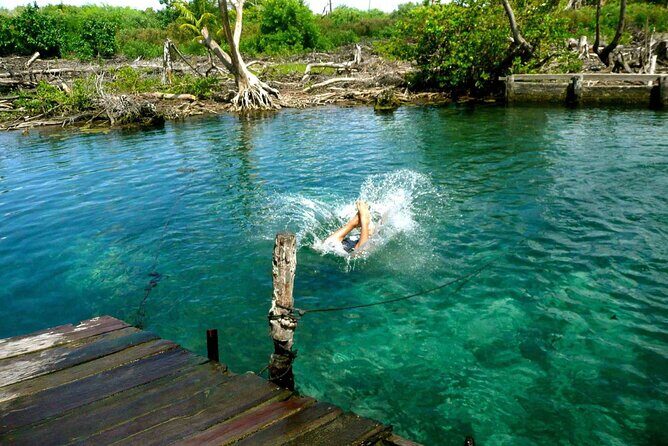 Holbox, Cenote & Isla Pasion from Cancun & Playa del Carmen - Practical Tips for Booking and Enjoying the Tour