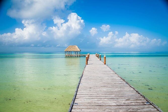 Holbox, Cenote & Two Island! + Punta Mosquito from Cancun - The Experience from Reviews
