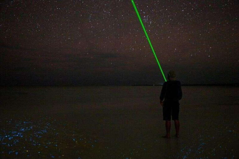 Holbox: Guided Bioluminescence Kayaking Tour - Practical Details and What to Expect