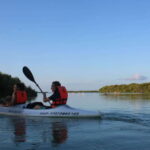 Holbox: Guided Sunrise/Sunset Kayak Tour by Mangrove Reserve - What Makes This Tour Stand Out?