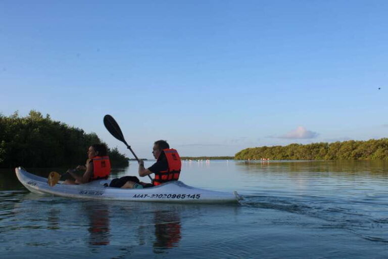 Holbox: Guided Sunrise/Sunset Kayak Tour by Mangrove Reserve - What Makes This Tour Stand Out?