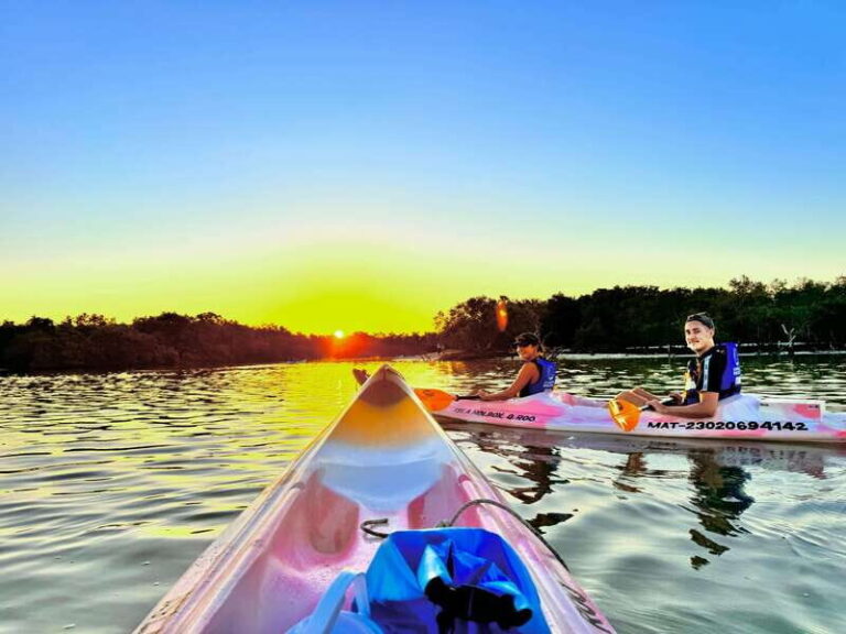 Holbox: Sunrise & Mangrove Kayak Tour - Logistics and Practical Details