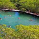 Holbox The Living Dream by boat from Playa del Carmen - Who Will Love This Tour?