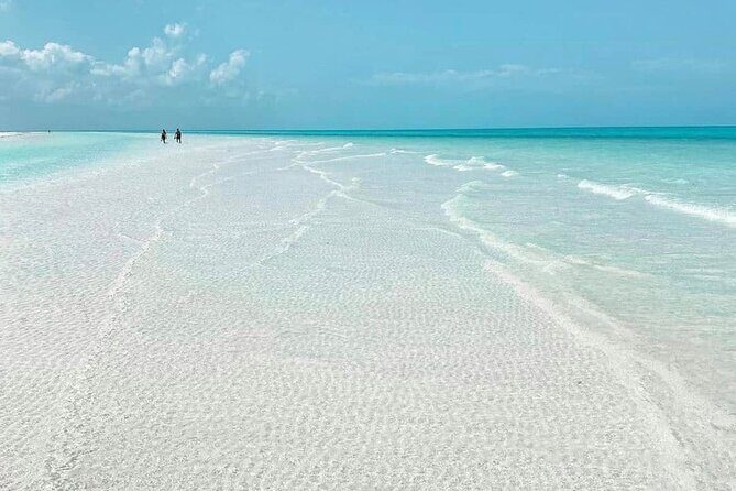 Holbox Tour - Island & Cenote from Cancun and Playa del Carmen - Is This Tour Worth Your Money?