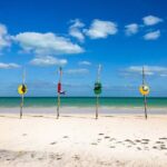 Holbox Tour! Nature Adventure from Cancun & Playa Del Carmen - What’s Included and What’s Not
