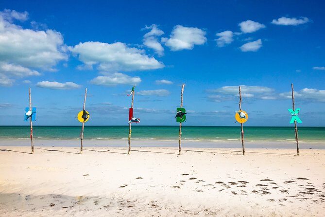 Holbox Tour! Nature Adventure from Cancun & Playa Del Carmen - What’s Included and What’s Not