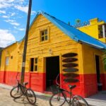 Holbox Tour with Ferry transportation and lunch included - The Practicalities: What to Expect and Consider