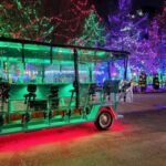 Holiday Lights Tour with Trolley Pub Columbus - Value and Who Will Enjoy It Most