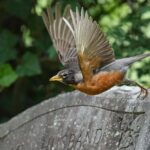 Hollywood Cemetery Hills and History - Who Will Love This Tour?