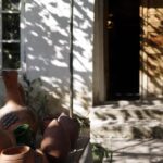 Homemade Georgian Feast in Mukhrani, near Mtskheta - Discovering Mukhrani and Its Culinary Heritage