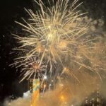 Honolulu: 1-Hour Friday Night Fireworks Cruise with Drinks - Who Should Book This Tour?