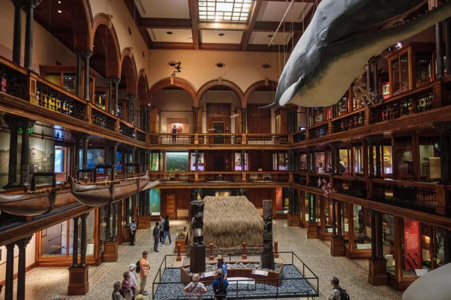 Honolulu: Bishop Museum General Admission Ticket - Explore the Heart of Hawaiian Culture and Natural Science