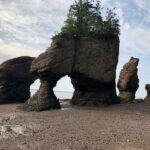 Hopewell Cape: Hopewell Rocks Admission - Who Should Visit Hopewell Rocks?