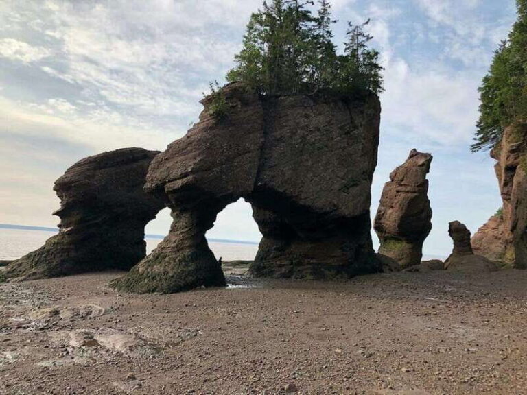 Hopewell Cape: Hopewell Rocks Admission - Who Should Visit Hopewell Rocks?