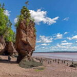 Hopewell Rocks and Fundy National Park Private Tour - Who Will Love This Tour?