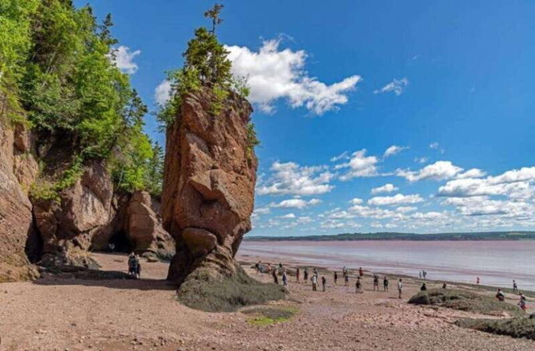 Hopewell Rocks and Fundy National Park Private Tour - Who Will Love This Tour?
