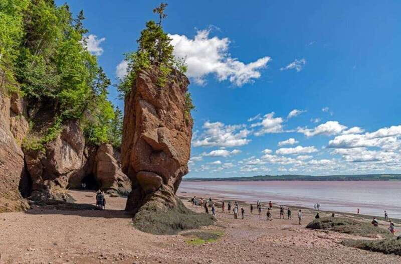 Hopewell Rocks and Fundy National Park Private Tour - Who Will Love This Tour?