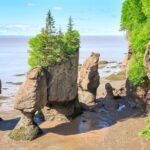 Hopewell Rocks Bay of Fundy Tour - Why This Tour Offers Great Value