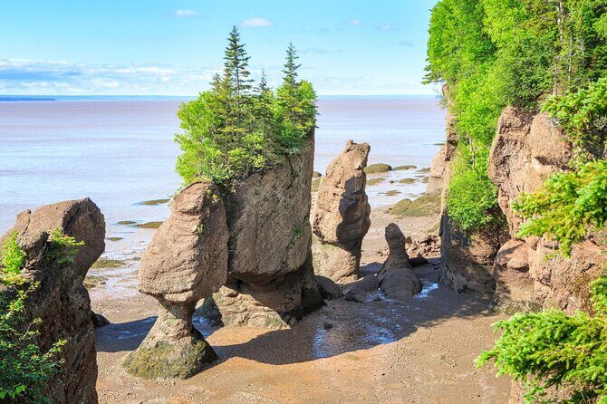 Hopewell Rocks Bay of Fundy Tour - Why This Tour Offers Great Value