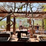 Horizons of Cuicatlán, echoes of the past and ancestral route - Analyzing the value and who it suits best