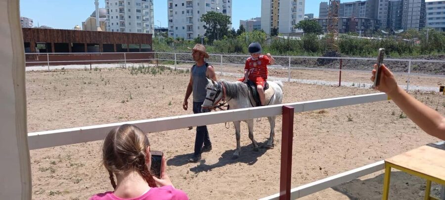 Horse, Camel, and Donkey Riding Experience at the Farm in the Antalya Region - Detailed Breakdown of the Itinerary