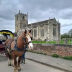 Horse drawn carriage ride and Picnic Hamper - Who Should Book This Experience?