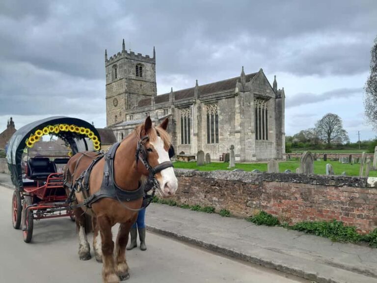 Horse drawn carriage ride and Picnic Hamper - Who Should Book This Experience?