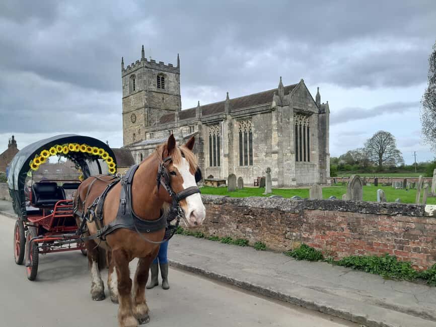Horse drawn carriage ride and Picnic Hamper - Who Should Book This Experience?