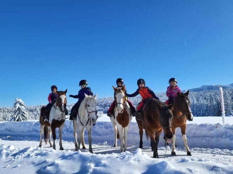 Horse Riding Day Trip in the Rila Mountain - The Experience: What You’ll Feel and See