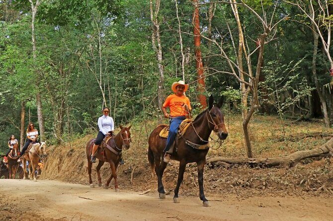 Horse Tour - Detailed Breakdown of the Itinerary