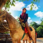 Horse Xtreme Wild - Who Will Love This Experience?