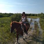 Horseback Adventure in Holbox - What the Reviews Say
